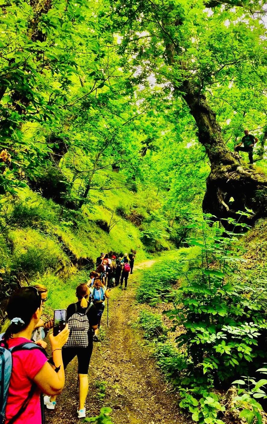 Un gruppo di escursionisti su un sentiero nel bosco del vulcano